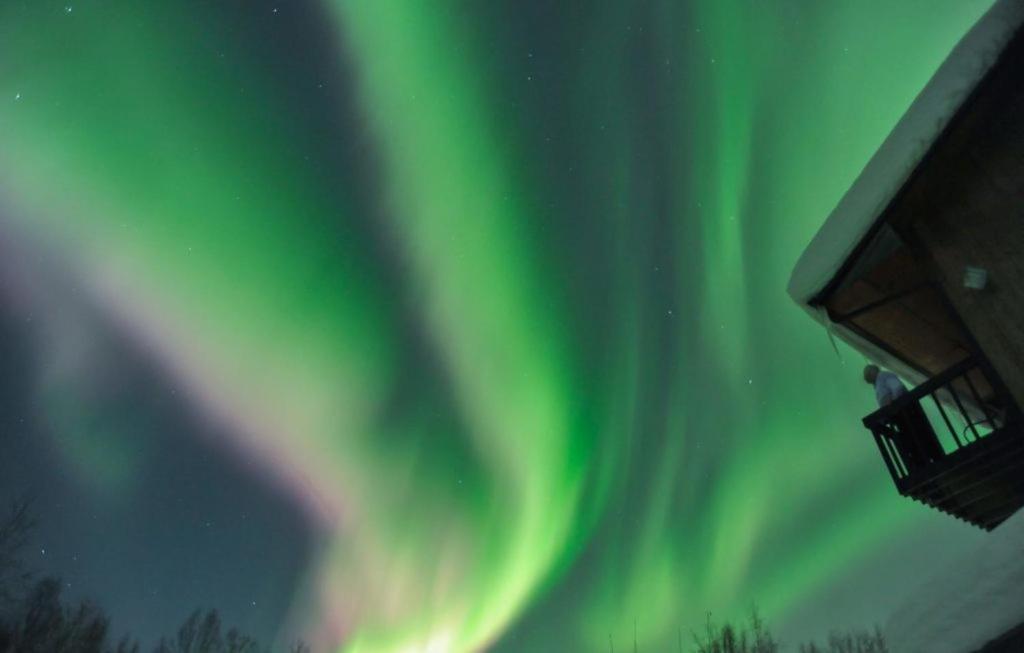 Alaska Grizzly Lodge Fairbanks Eksteriør bilde