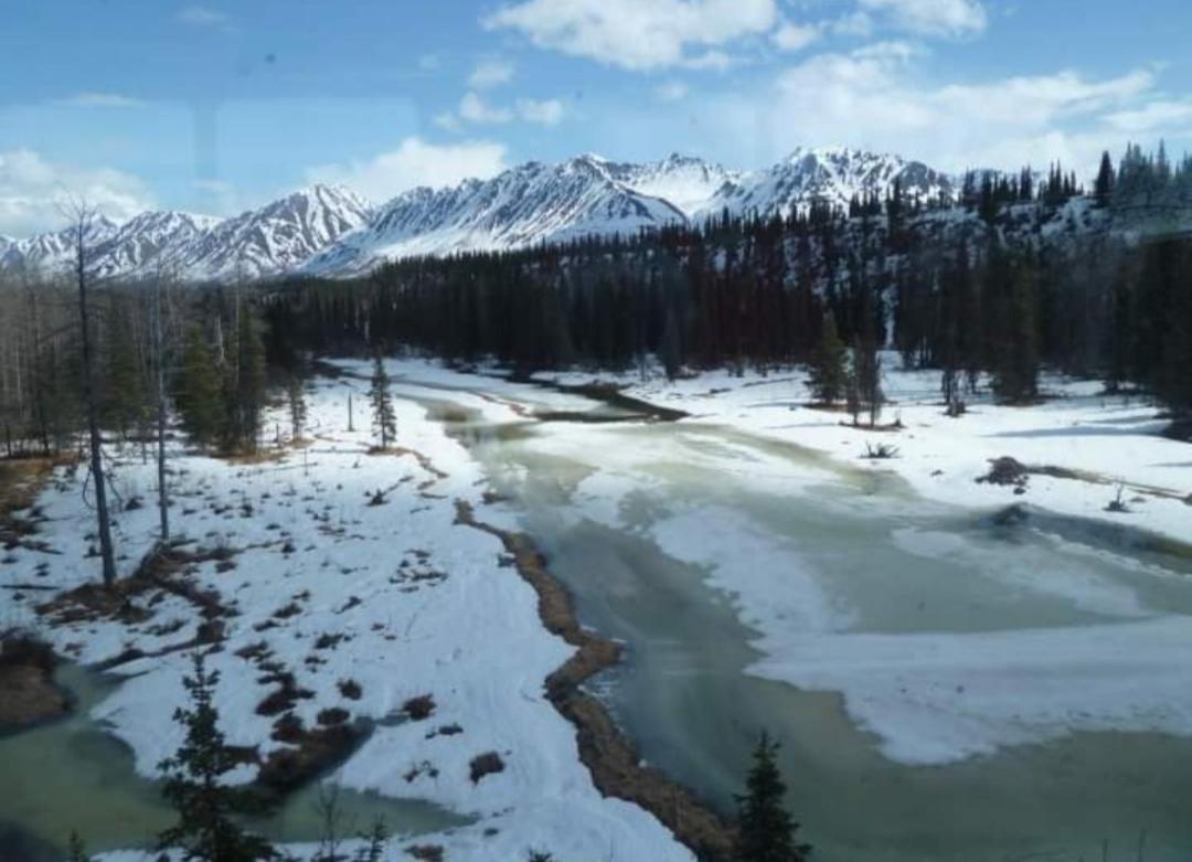 Alaska Grizzly Lodge Fairbanks Eksteriør bilde