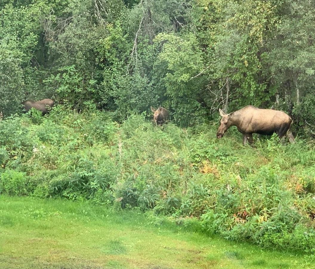 Alaska Grizzly Lodge Fairbanks Eksteriør bilde