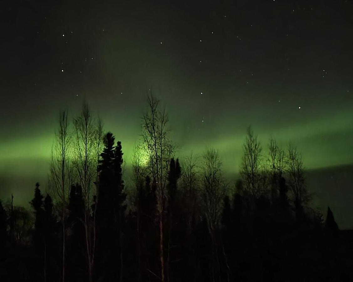 Alaska Grizzly Lodge Fairbanks Eksteriør bilde